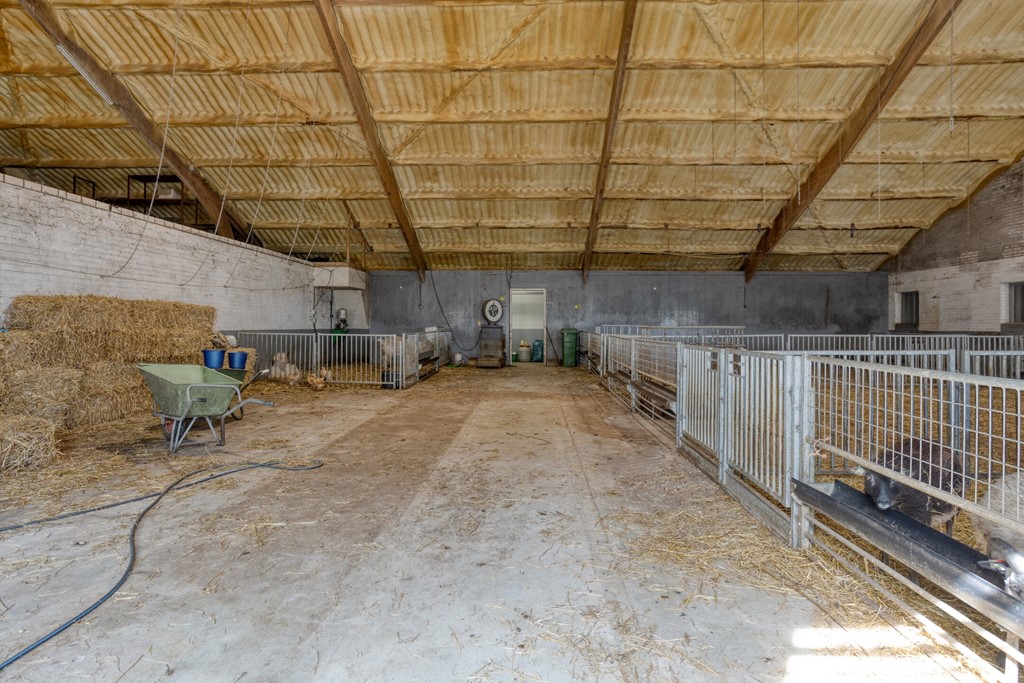 DeOmloop105254TJHaarsteeg-22.jpg DeOmloop105254TJHaarsteeg-22.jpg