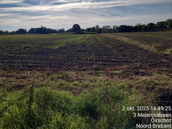 Medium property photo - Meierijsebaan, 5688 LT Oirschot