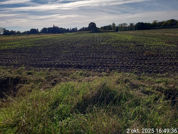 Medium property photo - Meierijsebaan, 5688 LT Oirschot