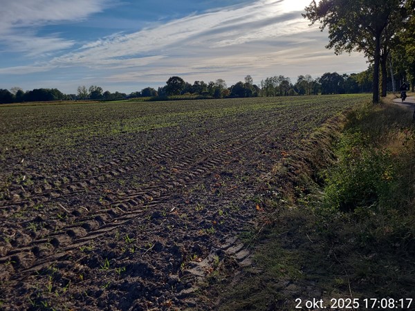 Medium property photo - Meierijsebaan, 5688 LT Oirschot