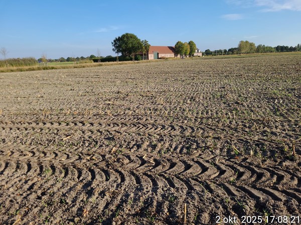 Medium property photo - Meierijsebaan, 5688 LT Oirschot