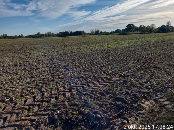 Medium property photo - Meierijsebaan, 5688 LT Oirschot