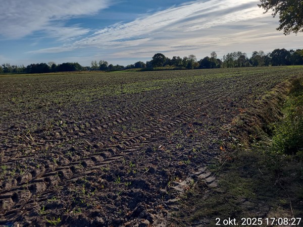 Medium property photo - Meierijsebaan, 5688 LT Oirschot