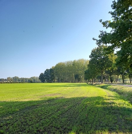 Medium property photo - Eikelkampen, 5674 Nuenen