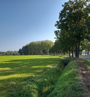 Medium property photo - Eikelkampen, 5674 Nuenen