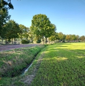 Medium property photo - Eikelkampen, 5674 Nuenen