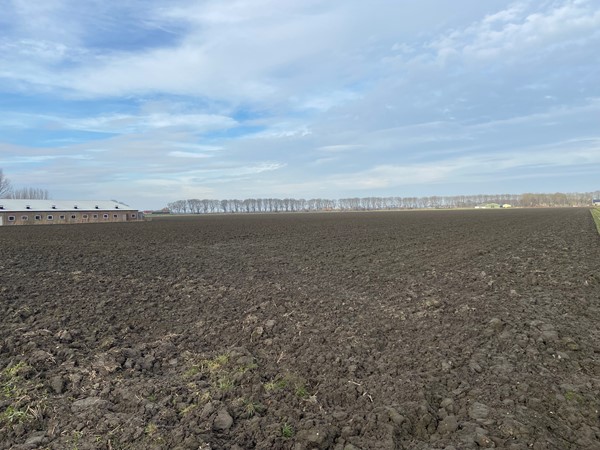 Medium property photo - Groeneweg, 4759 BA Noordhoek