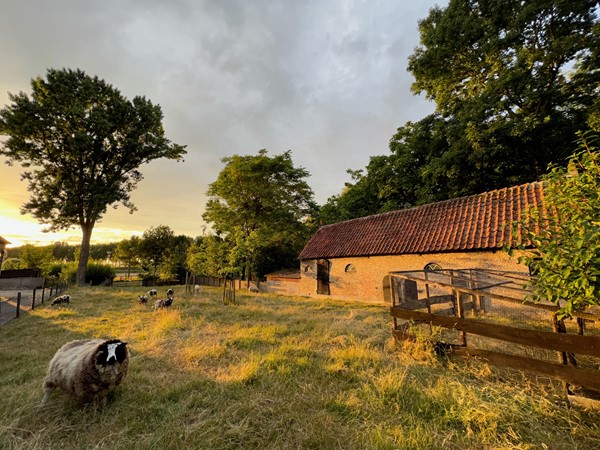 Medium property photo - Molendijk 9, 4698 PK Oud-Vossemeer