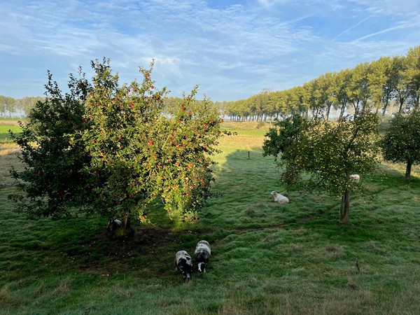 Medium property photo - Molendijk 9, 4698 PK Oud-Vossemeer