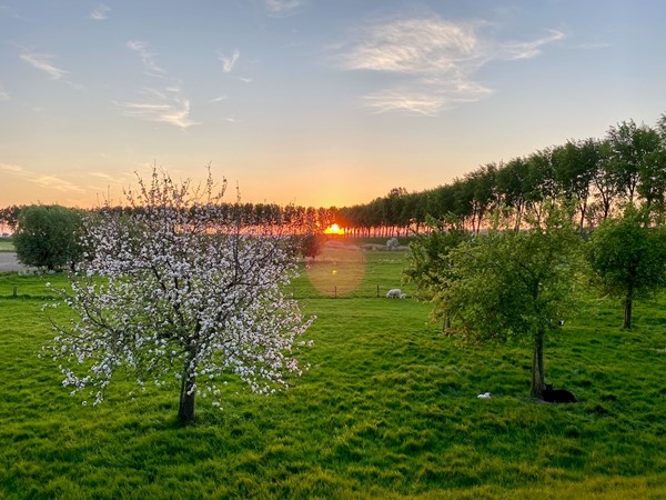 Medium property photo - Molendijk 9a, 4698 PK Oud-Vossemeer