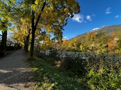 W1c: Piccolo bilocale con ampia terrazza - Foto 5