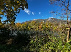 W1d: Appartamentino in posizione centrale - Foto 6