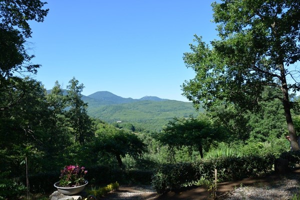Medium property photo - La Forge del Mitg 66260, 66260 Saint-Laurent-de-Cerdans