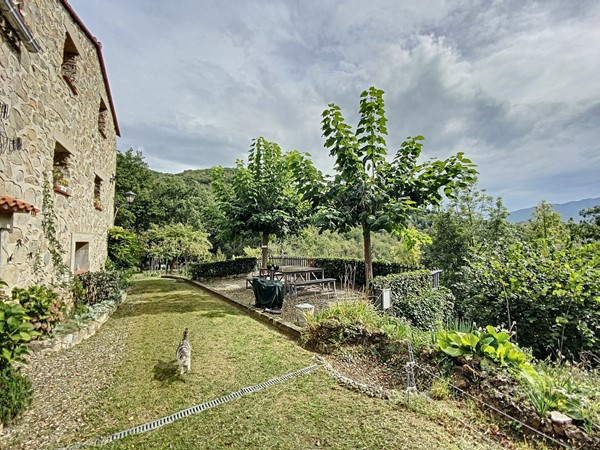 Medium property photo - La Forge del Mitg 66260, 66260 Saint-Laurent-de-Cerdans