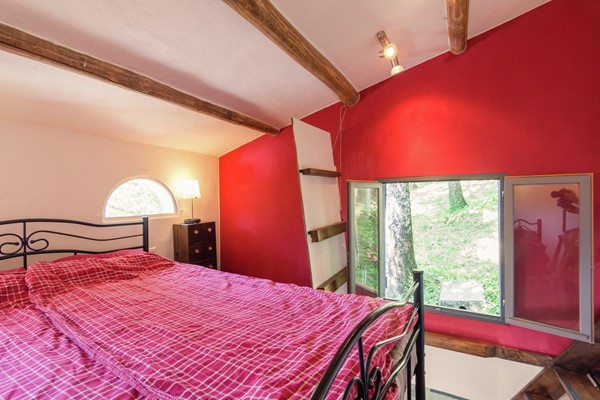 Medium property photo - La Forge del Mitg 66260, 66260 Saint-Laurent-de-Cerdans