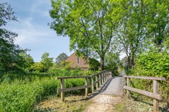 Paardenweide1651689MJZwaagNL-44.jpg