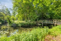 Paardenweide1651689MJZwaagNL-46.jpg