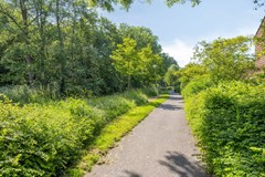 Paardenweide1651689MJZwaagNL-42.jpg