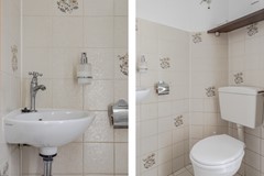 Toilet.jpg