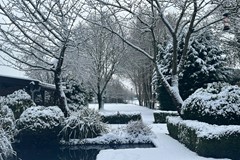 Winter.jpg