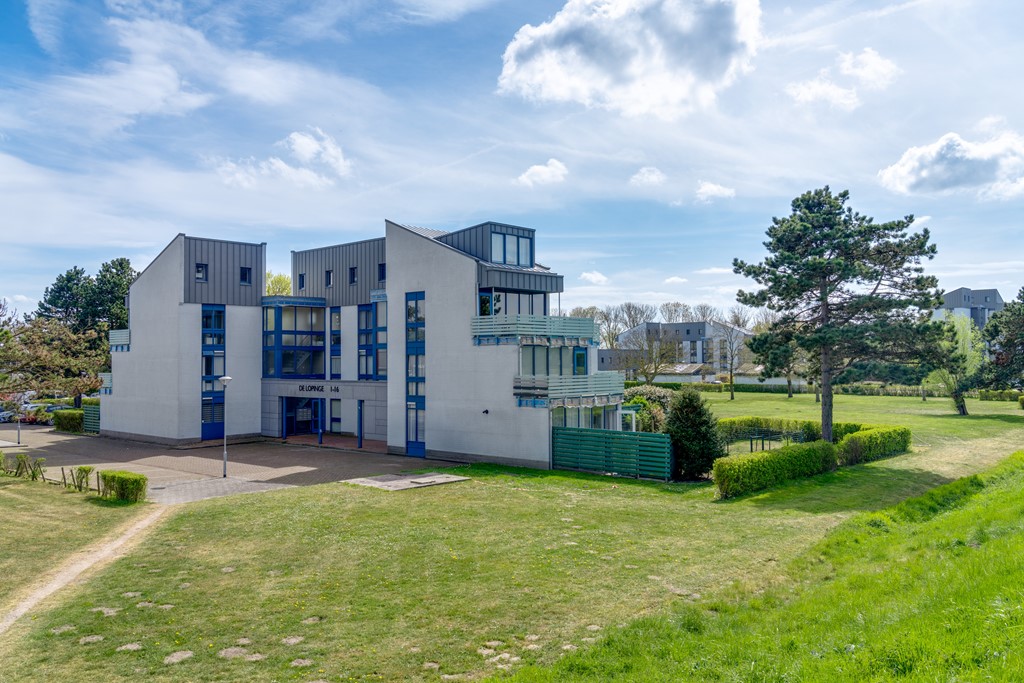 img-14.jpg img-14.jpg