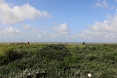IMG_7325.JPG