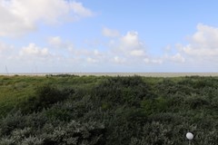 IMG_7328.JPG