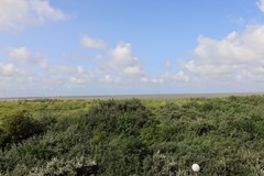 IMG_7329.JPG