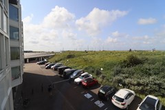 IMG_7331.JPG