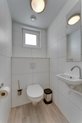 img-11.jpg