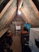 20250329_122445.jpg