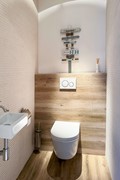 toilet.jpg