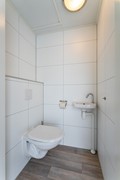 img-10.jpg