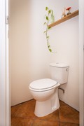 Toilet.jpg