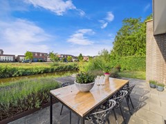 12. Buizerd buiten.jpg