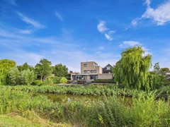 17. Buizerd buiten.jpg