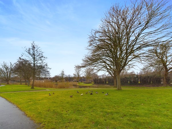 Medium property photo - Akkerwindelaan 25, 4537 CH Terneuzen