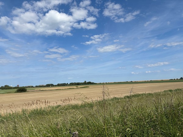 Medium property photo - Reuzenhoek 40, 4543 NC Zaamslag