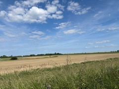 IMG_1642.jpeg
