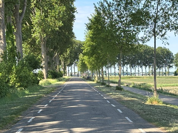 Medium property photo - Reuzenhoek 40, 4543 NC Zaamslag