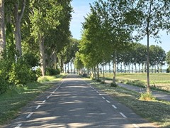 IMG_1641.jpeg
