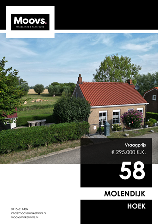 Brochure preview - Molendijk 58, 4542 NT HOEK (1)
