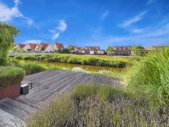 9. Buizerd buiten.jpg