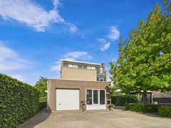 20. Buizerd buiten.jpg