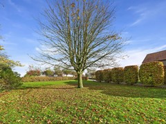43. Het Zand 59 .jpg