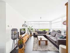 4. Kraanvogel 3 .jpg