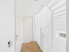 19. Kraanvogel 3 .jpg