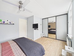 22. Kraanvogel 3 .jpg