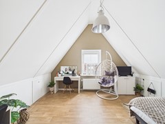 31. Kraanvogel 3 .jpg