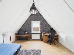 34. Kraanvogel 3 .jpg